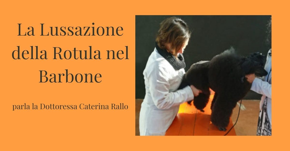 Intervista su lussazione rotula nel cane