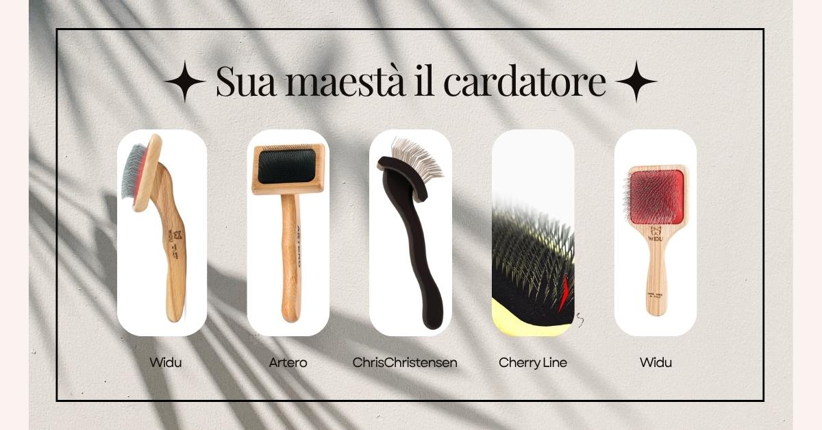 cardatori per barboni quale scegliere e come usarlo