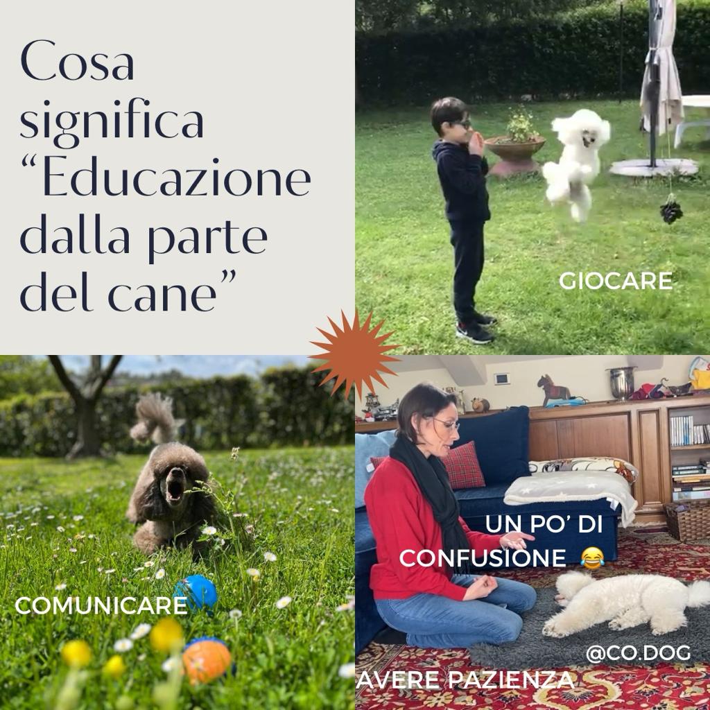 cosa significa educazione dalla parte del cane