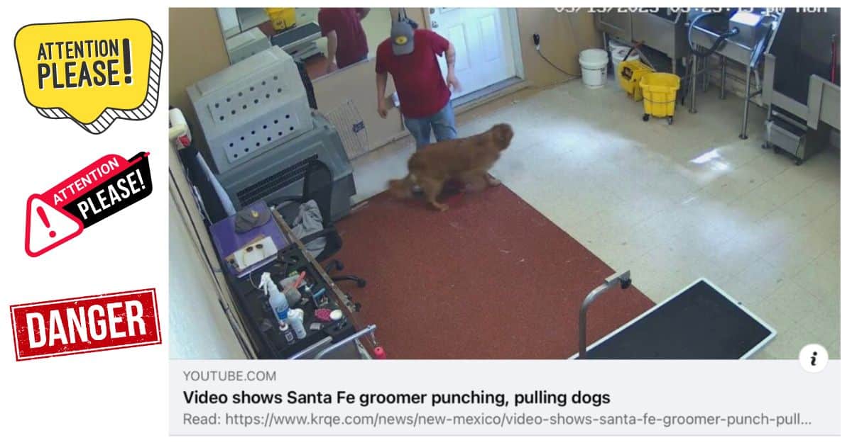 valuta il toelettatore