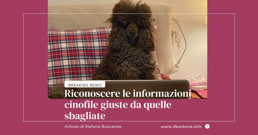 Riconoscere le informazioni cinofile giuste da quelle sbagliate