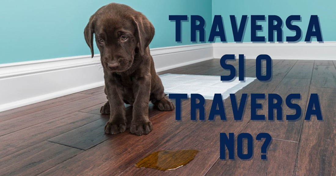 usare o non usare le traverse con i cani