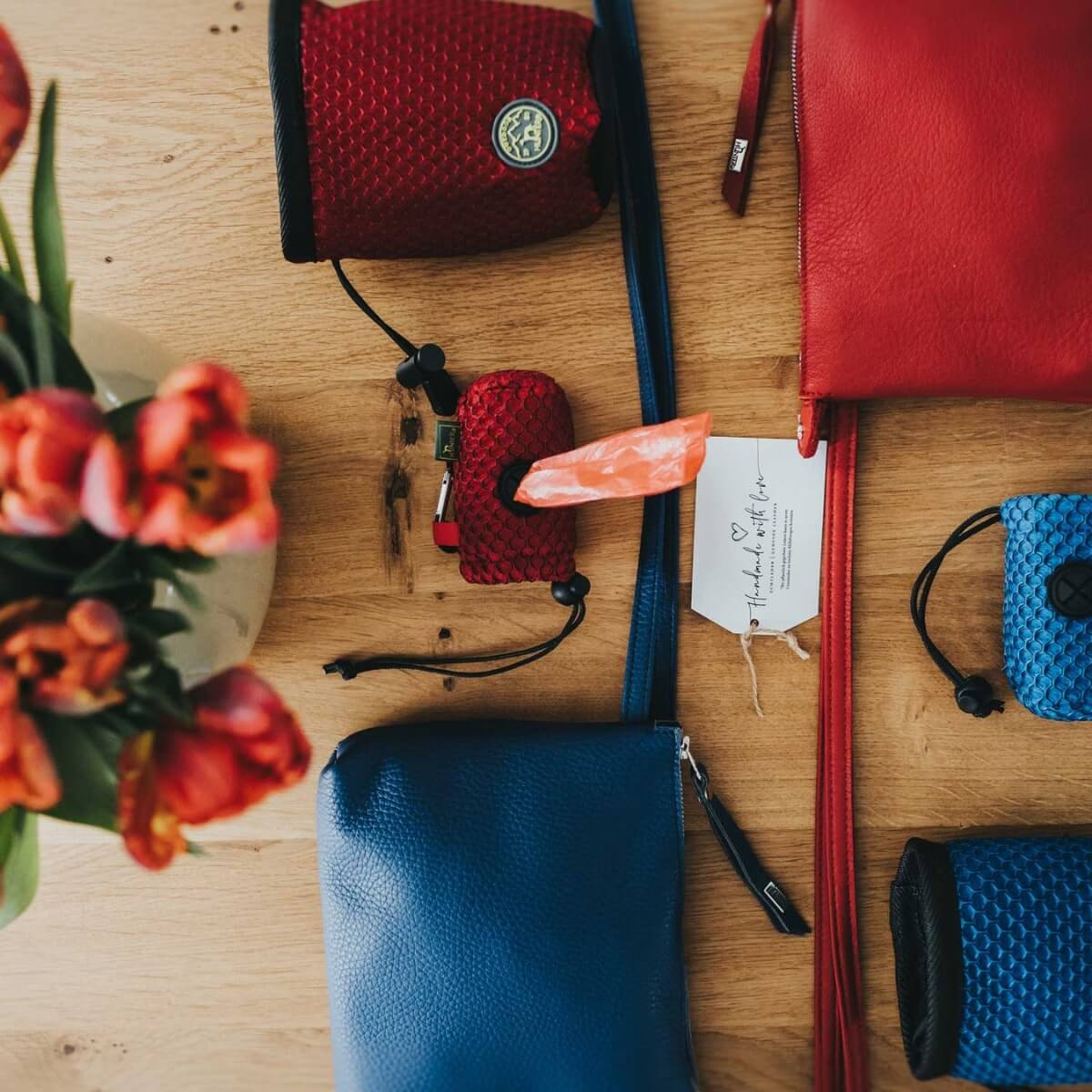 Accessori per cani e proprietari