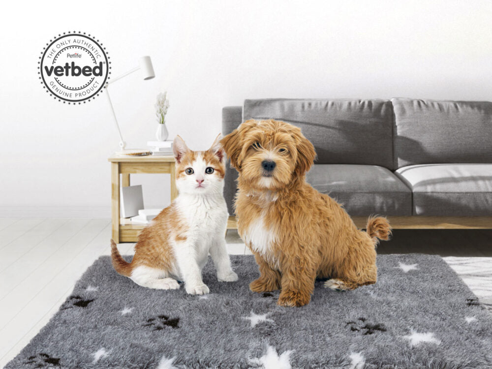 Cucce e VetBed