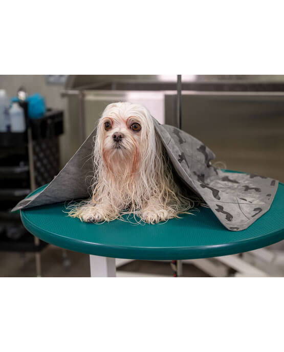 Show Tech Dry Mate panno per asciugare velocemente il tuo cane