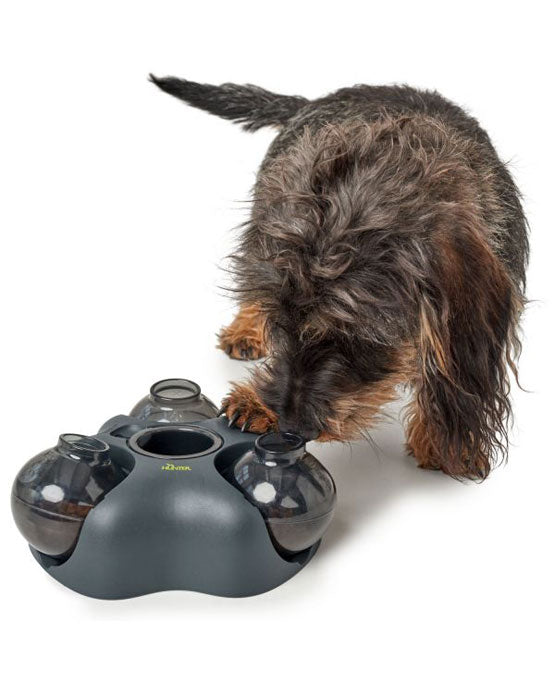 Giocattolo per cani e gatti - gioco di intelligenza Kem