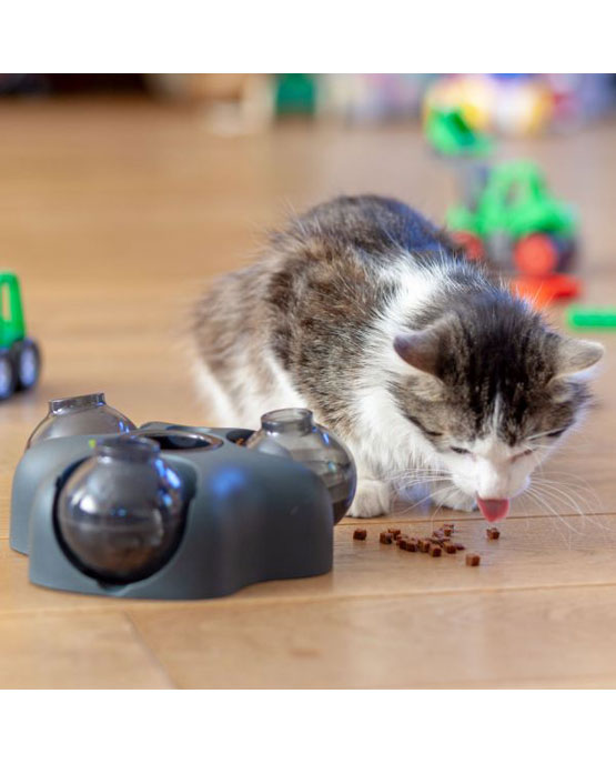 Giocattolo per cani e gatti - gioco di intelligenza Kem