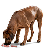 Giocattolo per cani - Würstl