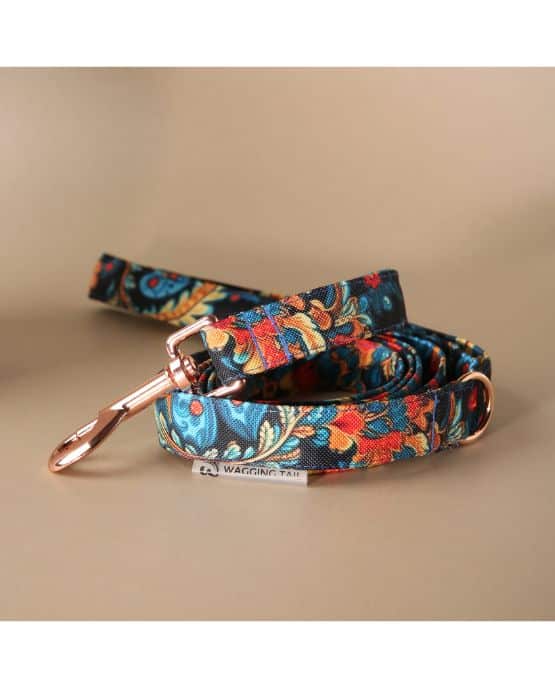 Andalusia guinzaglio