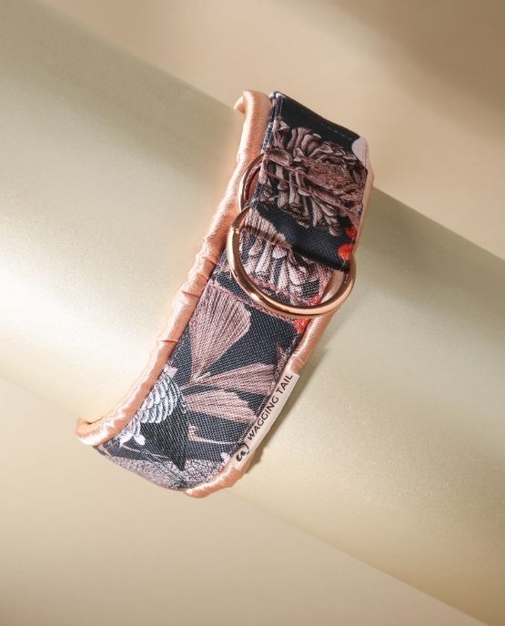 Collare a martingala per cane