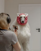 Copriorecchie Millor Dog