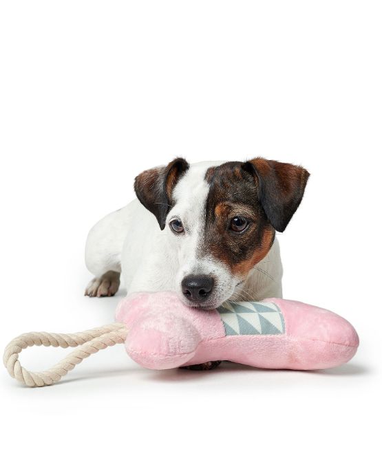 Giocattolo per cani Osso di Hunter