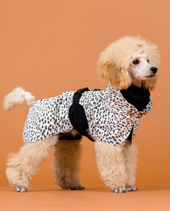 impermeabile per cani