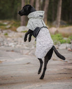 Paikka Finlandia