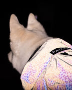 Paikka impermeabile fluo