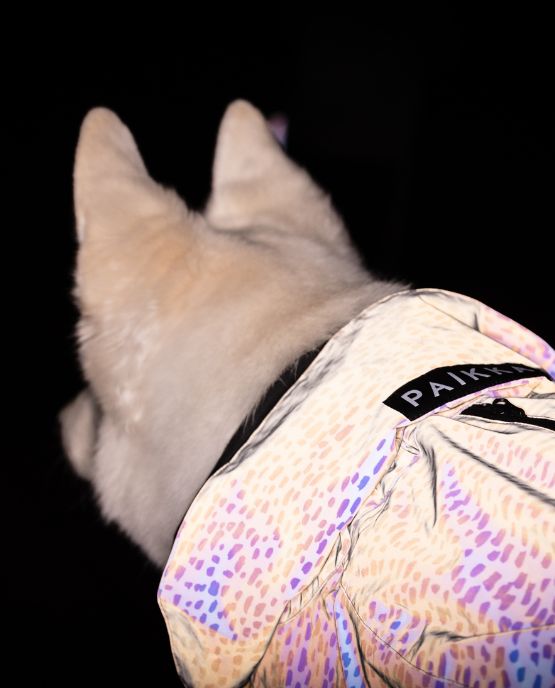 Paikka impermeabile fluo
