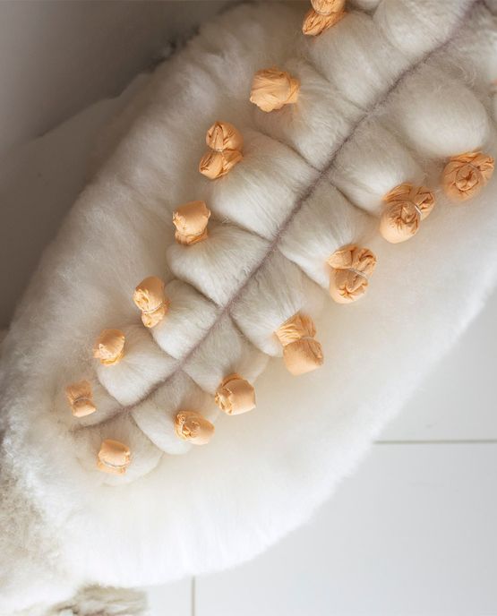 cartine per pacchetti cane