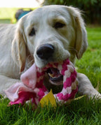 ZergelRing gioco per cani in pile