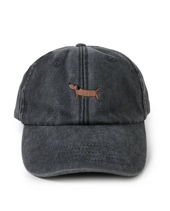 berretto con bassotto