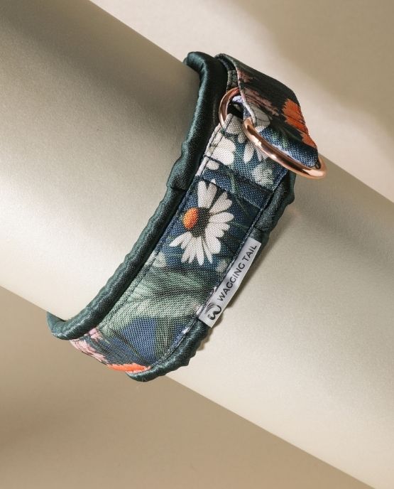 Collare salvapelo cani