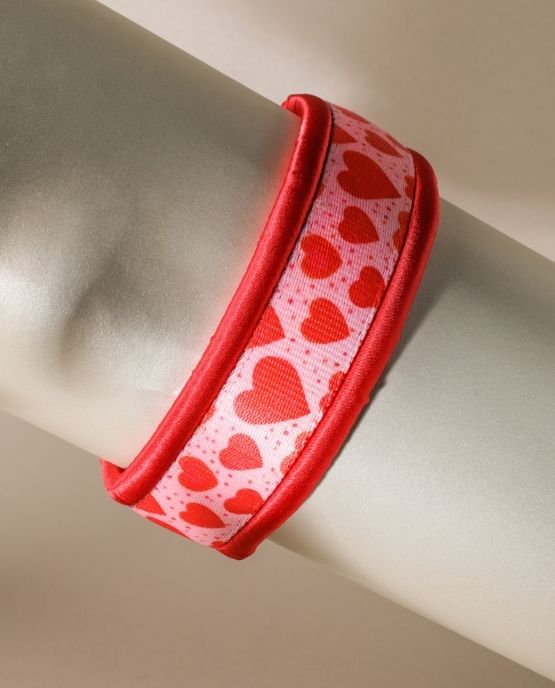 Collare salvapelo per cani