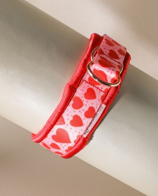 wagon tail collari morbidi