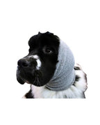 cuffia antirumore cane