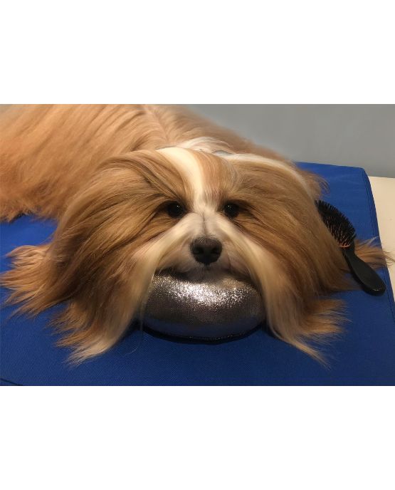 Cuscino a ciambella per Topknot di Show Tech