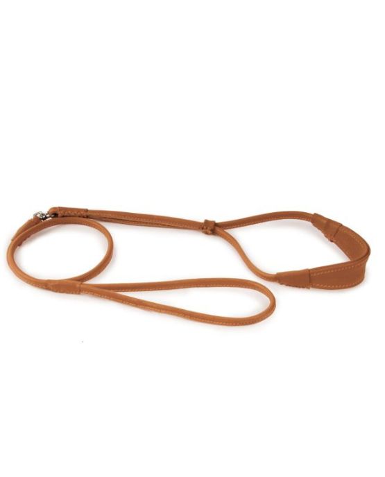 Collare-guinzaglio Dapper Dogs Comfort di Show Tech