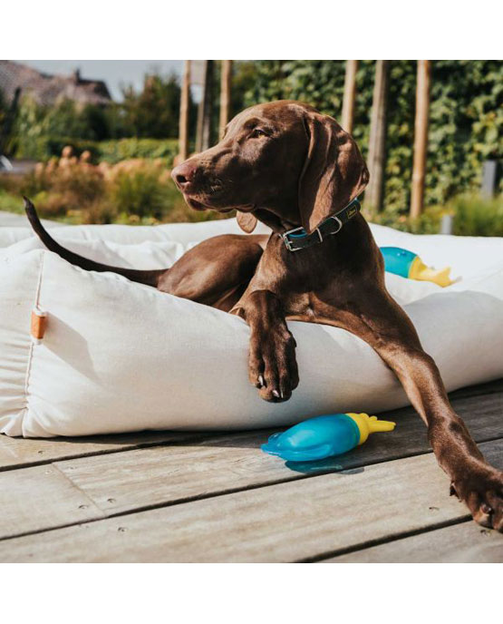 Giocattolo per cani Kong - gioco refrigerante 18 cm