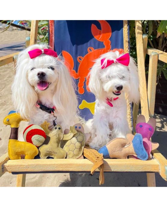 Pallina per cani in camoscio di FunnyZoo