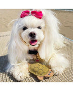 Gioco per cani tartaruga in camoscio di FunnyZoo