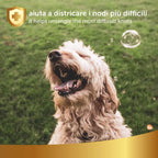 Scioglinodi e lucidante Linea 101 dog