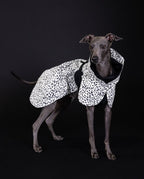 Impermeabile per tutte le razza di cane