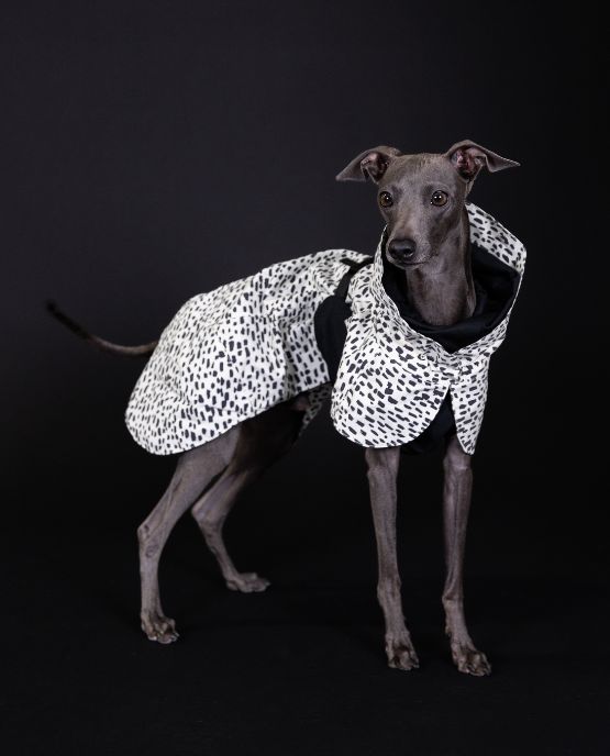 Impermeabile per tutte le razza di cane
