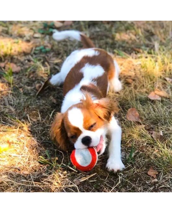 Pallina per cani in camoscio di FunnyZoo
