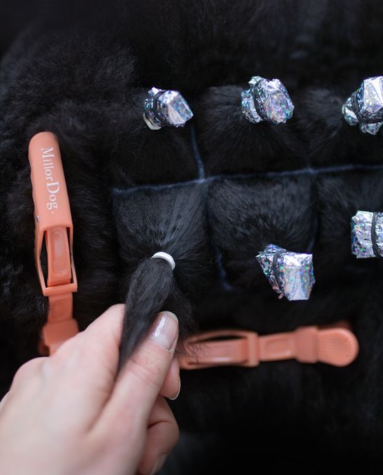 Involucri per pacchetti SOFT Foil Millor Dog - Star Dust