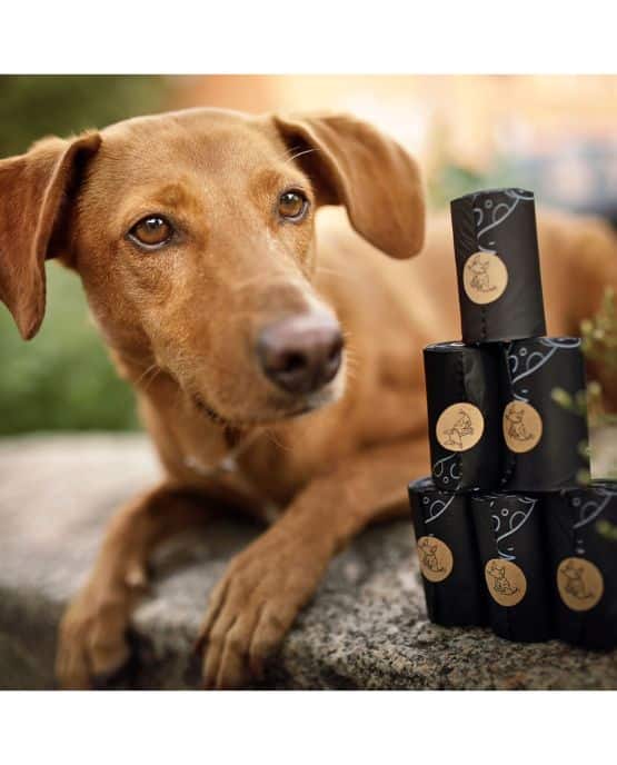 Sacchetti biodegradabili per le feci del cane