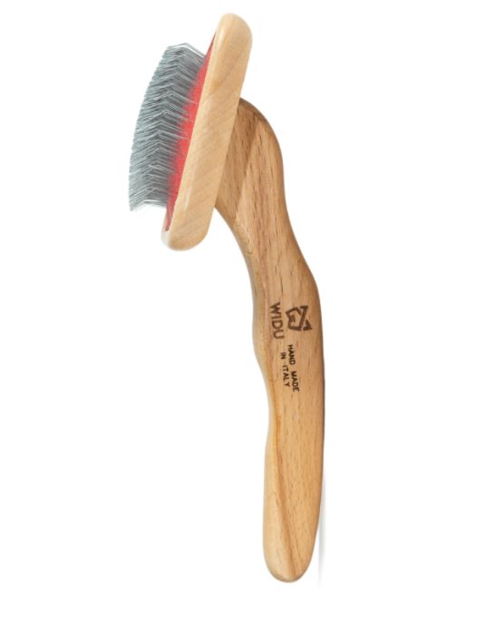 dente corto zincato