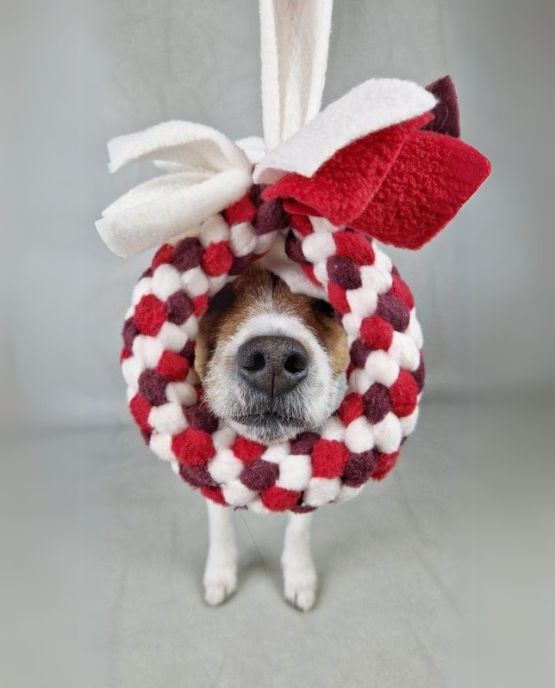 Gioco per cane